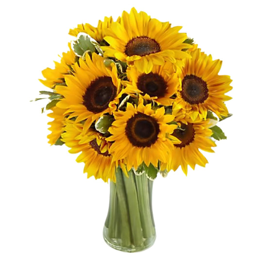 Birthday Sunshine - Floral Arrangement - Flower Delivery Brooklyn