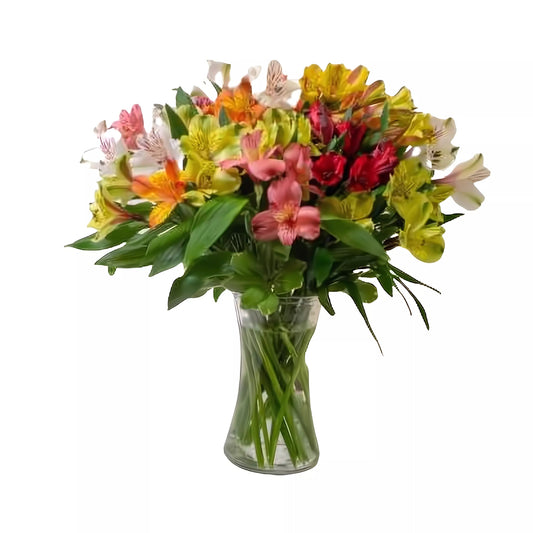 Colorful Assorted Alstromeria - Floral Arrangement - Flower Delivery Brooklyn