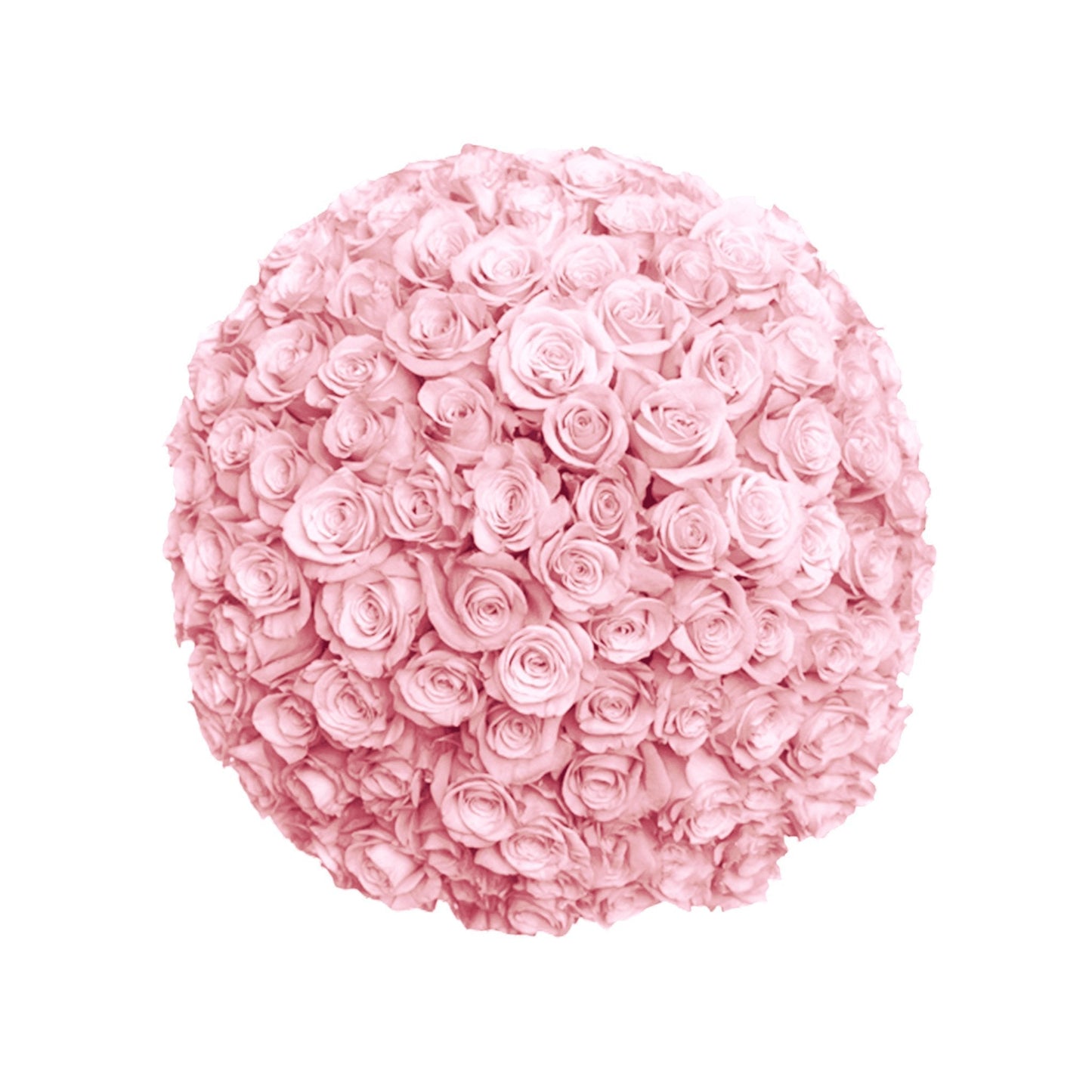 Fresh Roses in a Vase | 100 Light Pink Roses - Floral Arrangement - Flower Delivery Brooklyn