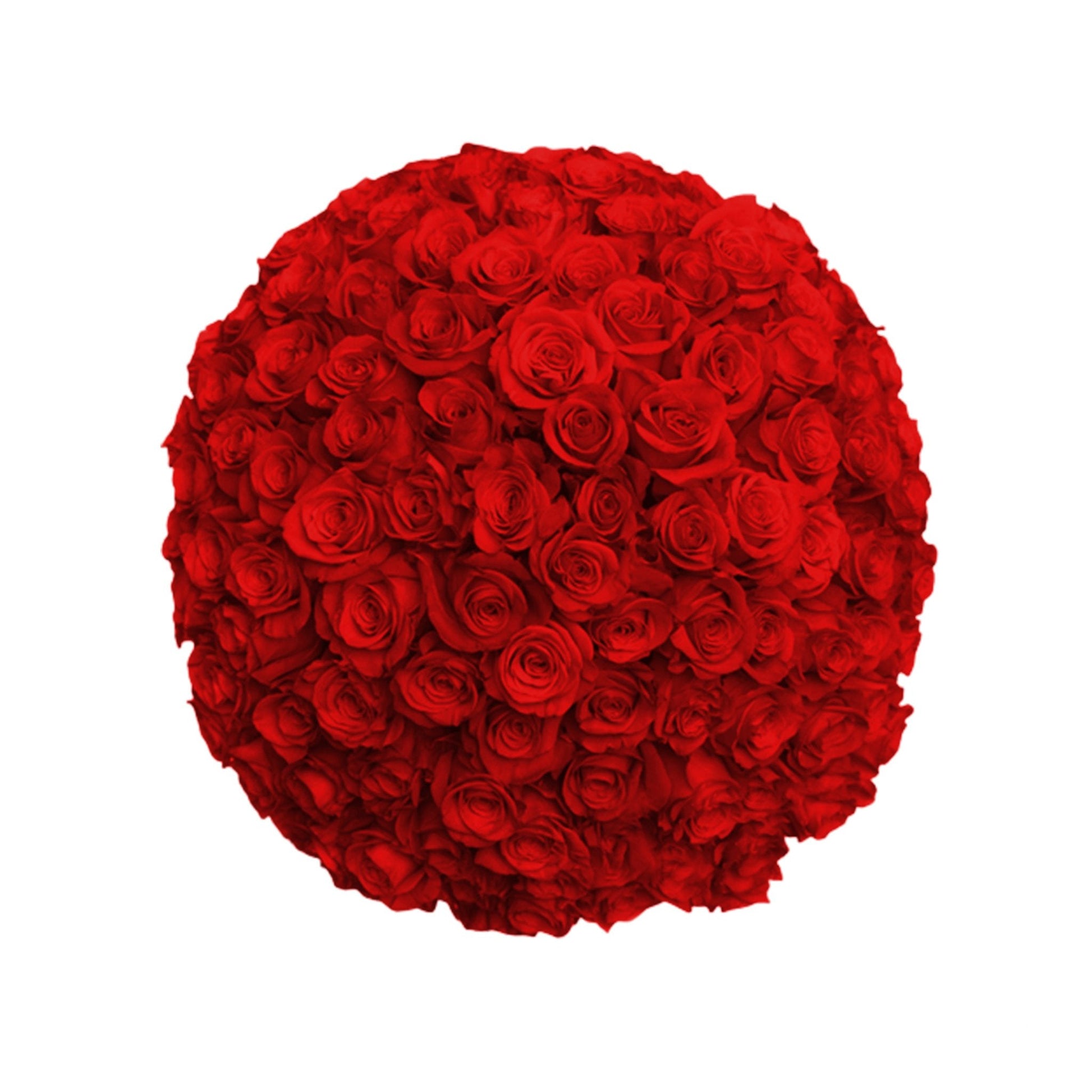 Fresh Roses in a Vase | 100 Red Roses - Floral Arrangement - Flower Delivery Brooklyn