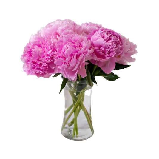 Perfect Peony - Floral Arrangement - Flower Delivery Brooklyn