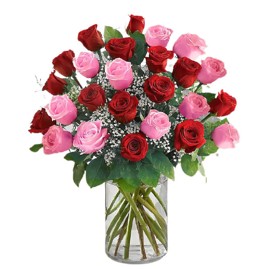 Premium Long Stem - 24 Pink & Red Roses - Floral Arrangement - Flower Delivery Brooklyn