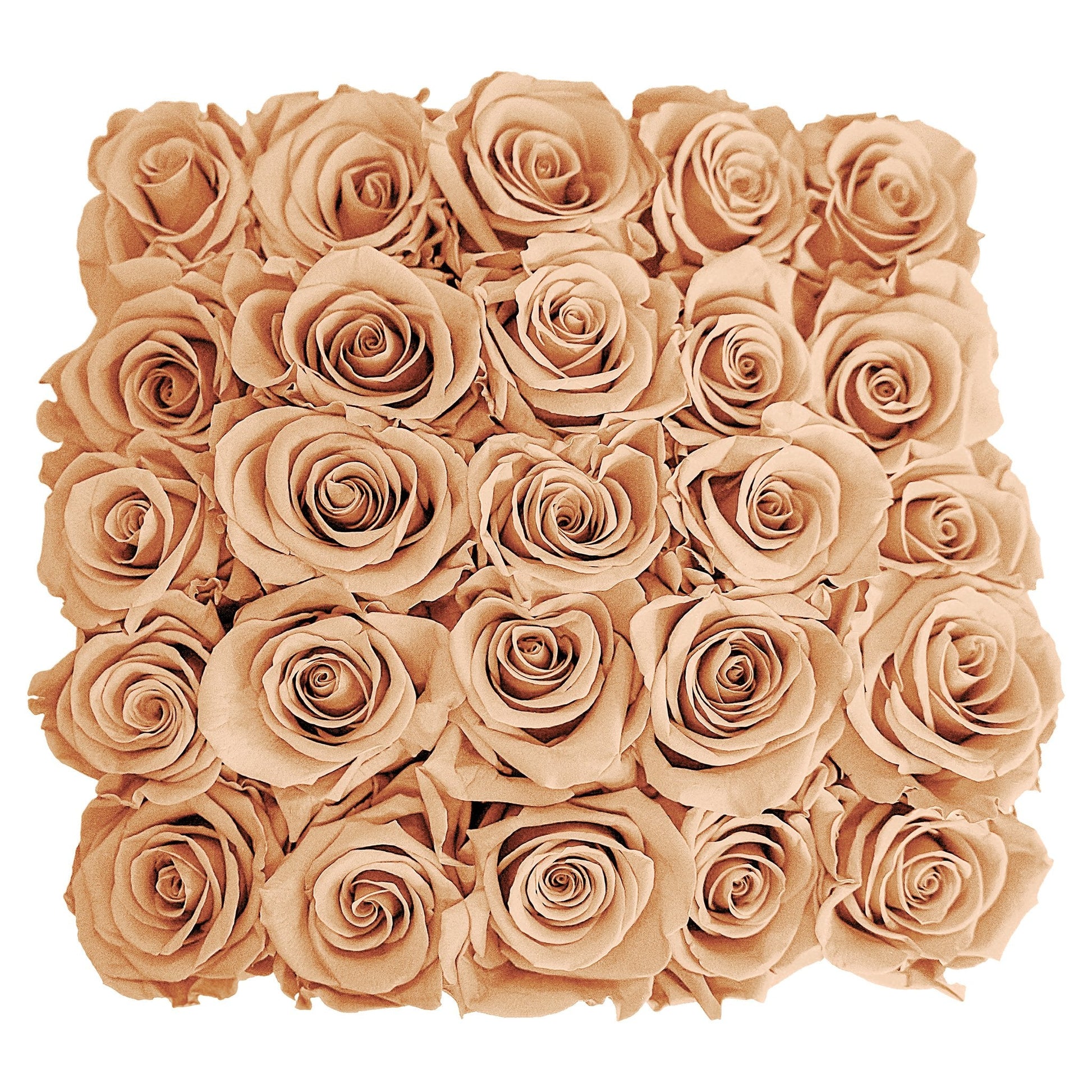 Preserved Roses Small Box | Peach - Floral Arrangement - Flower Delivery Brooklyn