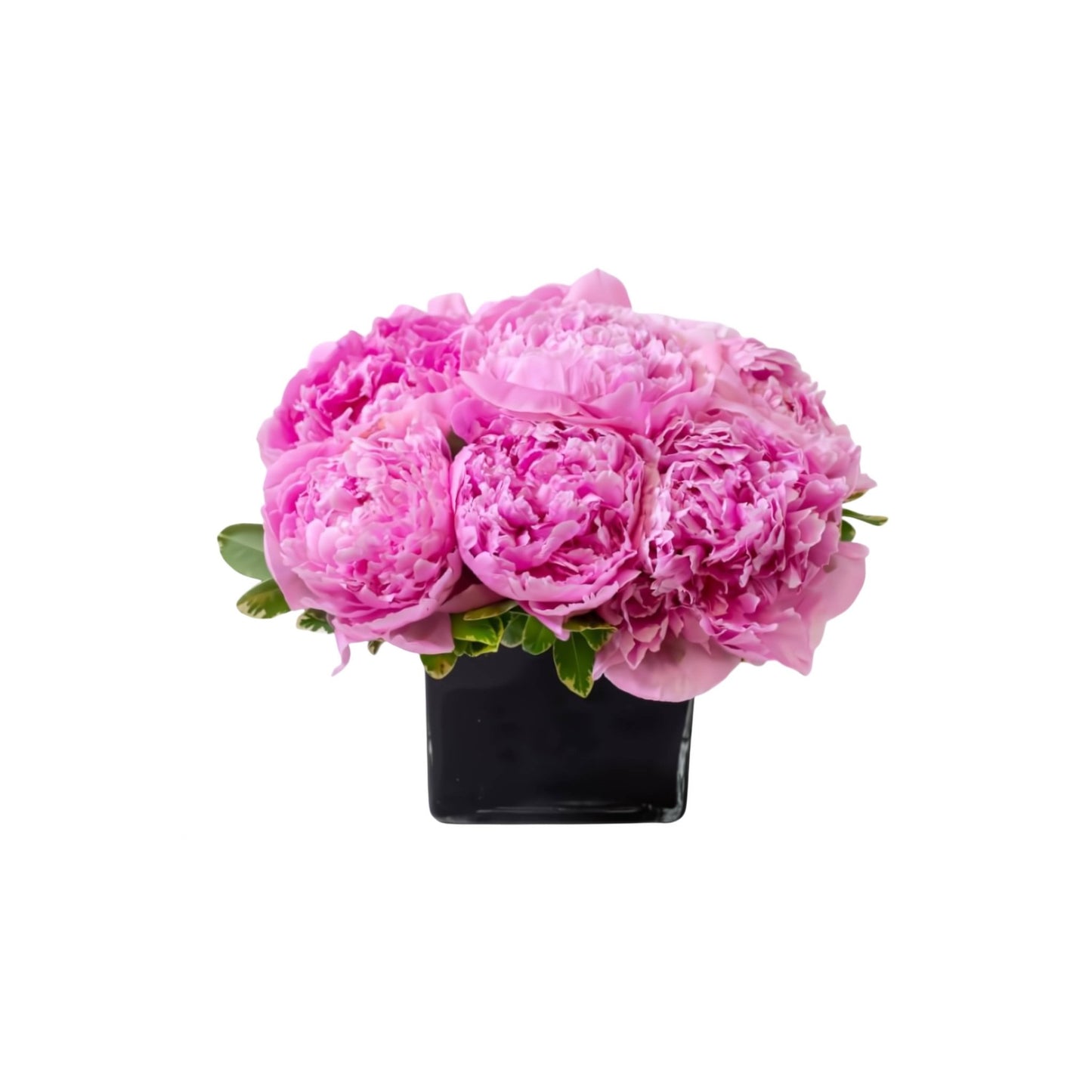 Amazing Peony - Floral Arrangement - Flower Delivery Brooklyn