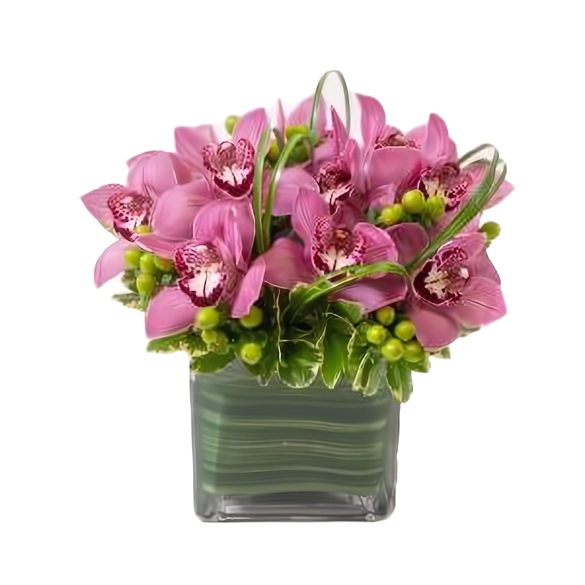 Cymbidium Fancy - Floral Arrangement - Flower Delivery Brooklyn