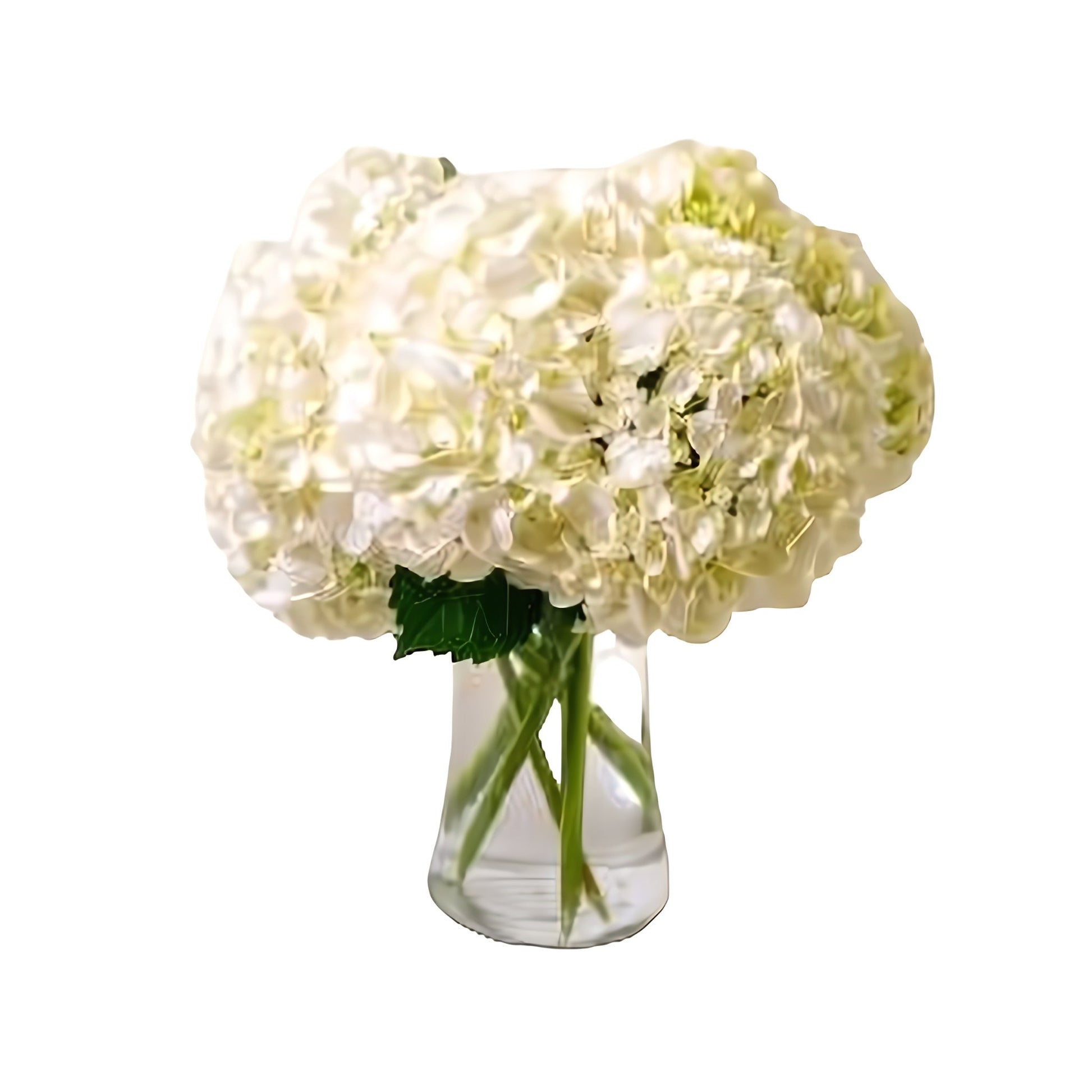 Fluffy Hydrangea Bouquet - Floral Arrangement - Flower Delivery Brooklyn