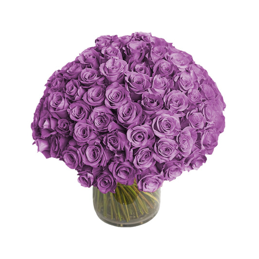 Fresh Roses in a Vase | 100 Purple Roses - Floral Arrangement - Flower Delivery Brooklyn
