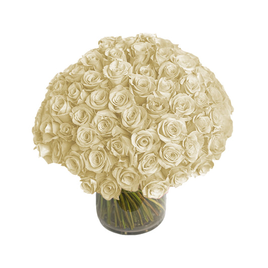 Fresh Roses in a Vase | 100 White Roses - Floral Arrangement - Flower Delivery Brooklyn