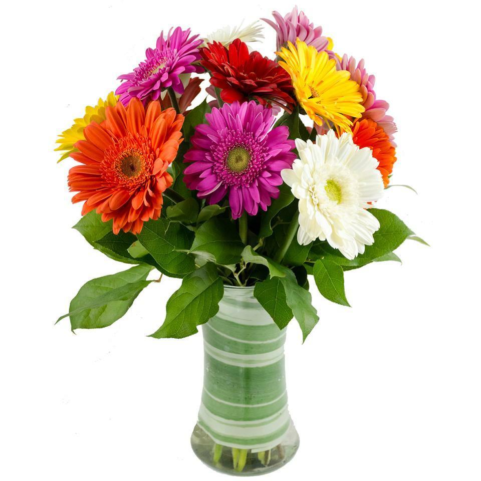 Merry Gerberas - Floral Arrangement - Flower Delivery Brooklyn