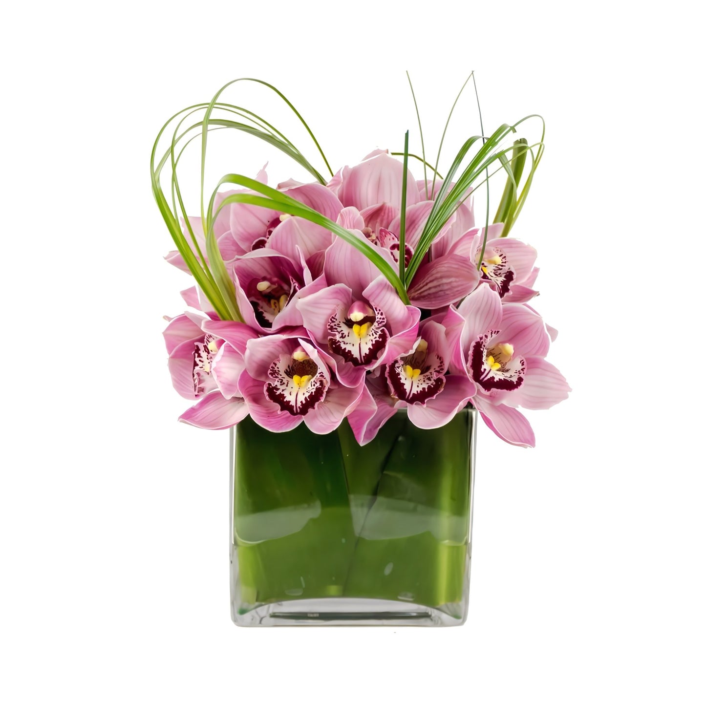 Pink Cymbidium Cube - Floral Arrangement - Flower Delivery Brooklyn