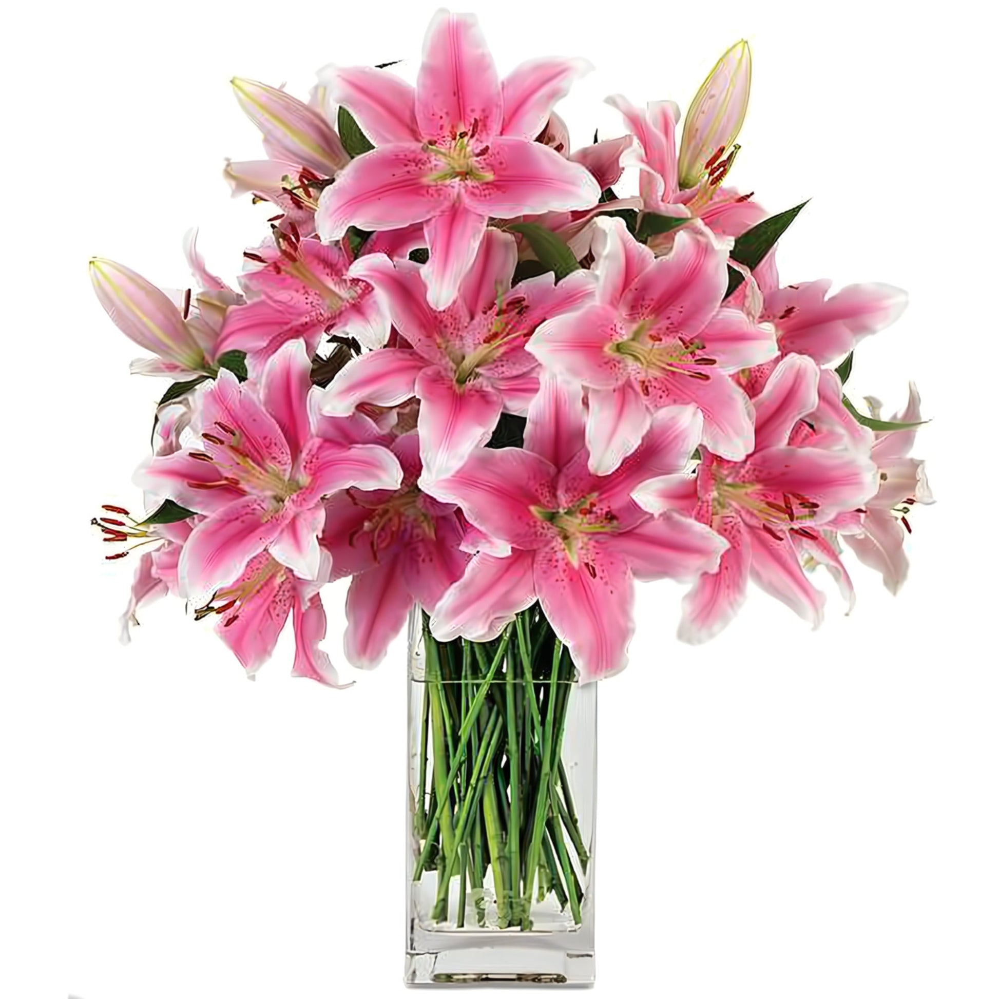 Pink Stargazer Surprise - Floral Arrangement - Flower Delivery Brooklyn