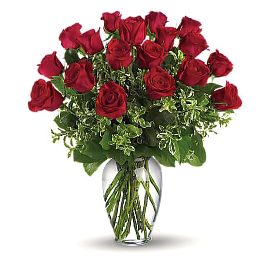 Premium Long Stem - 18 Red Roses - Floral Arrangement - Flower Delivery Brooklyn