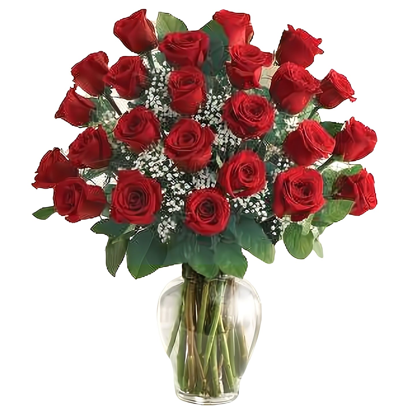 Premium Long Stem - 24 Red Roses - Floral Arrangement - Flower Delivery Brooklyn
