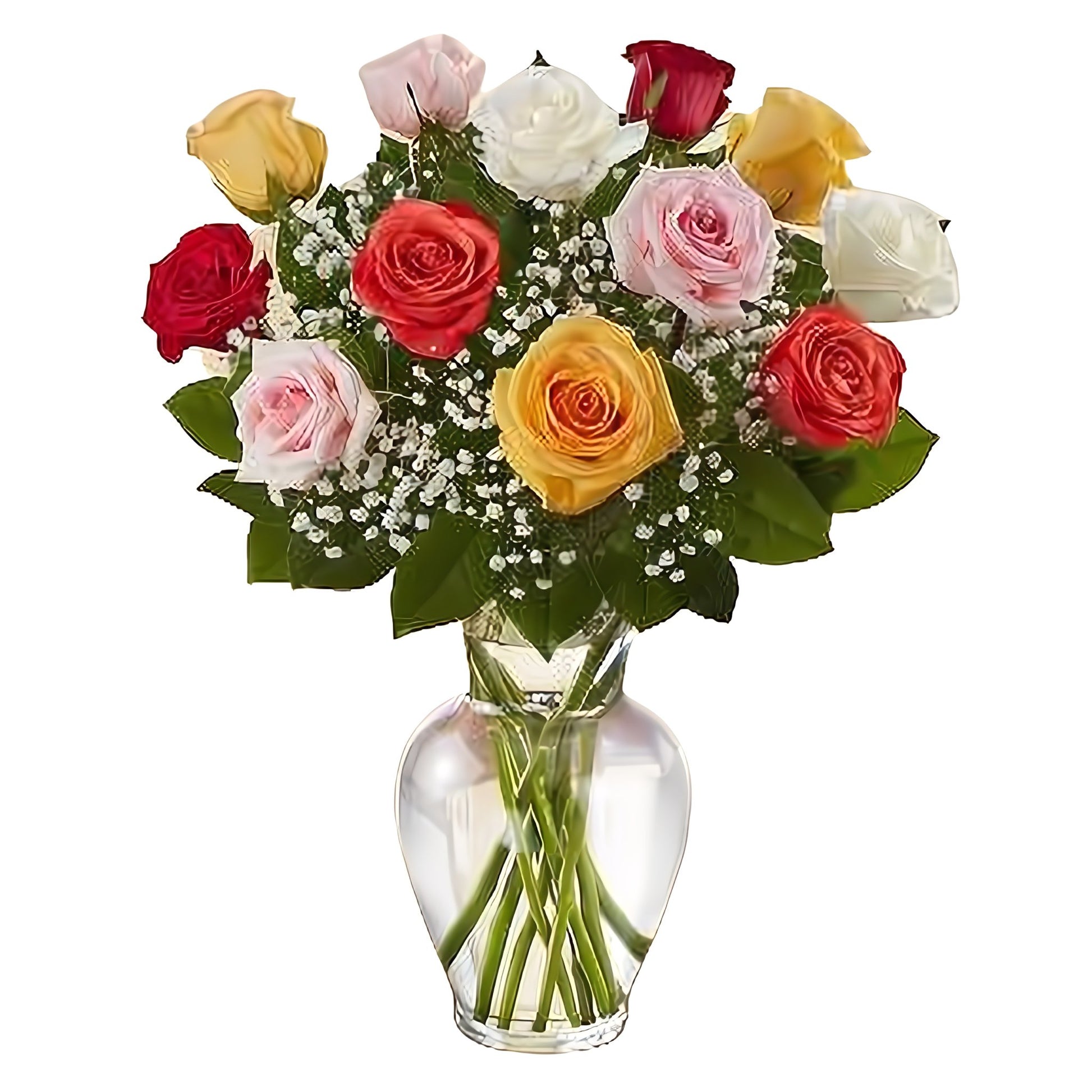 Premium Long Stem - Dozen Assorted Roses - Floral Arrangement - Flower Delivery Brooklyn
