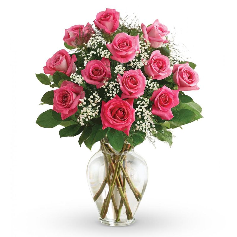 Premium Long Stem - Dozen Hot Pink Roses - Floral Arrangement - Flower Delivery Brooklyn