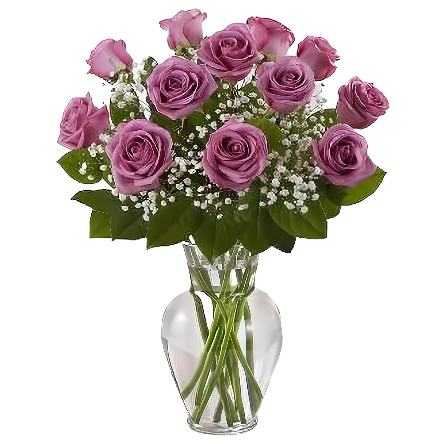 Premium Long Stem - Dozen Purple Roses - Floral Arrangement - Flower Delivery Brooklyn