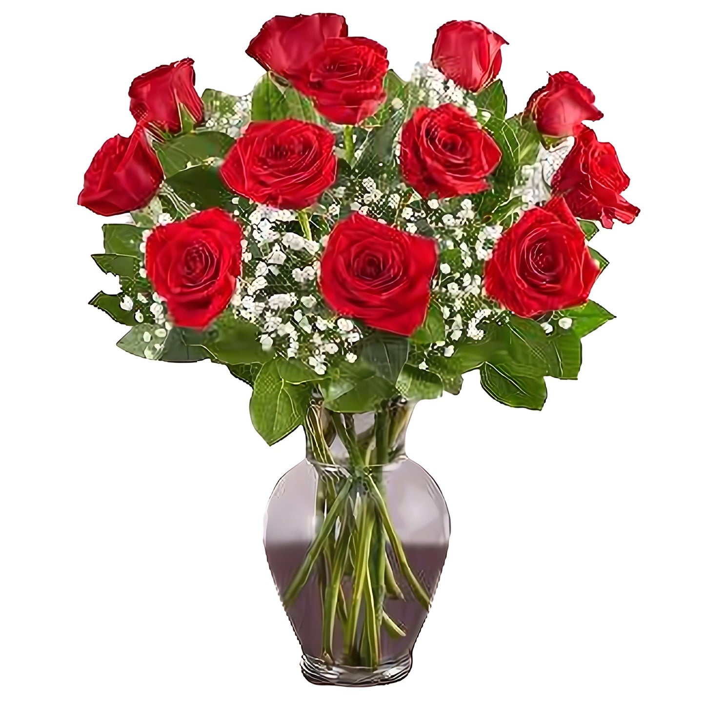 Premium Long Stem - Dozen Red Roses - Floral Arrangement - Flower Delivery Brooklyn