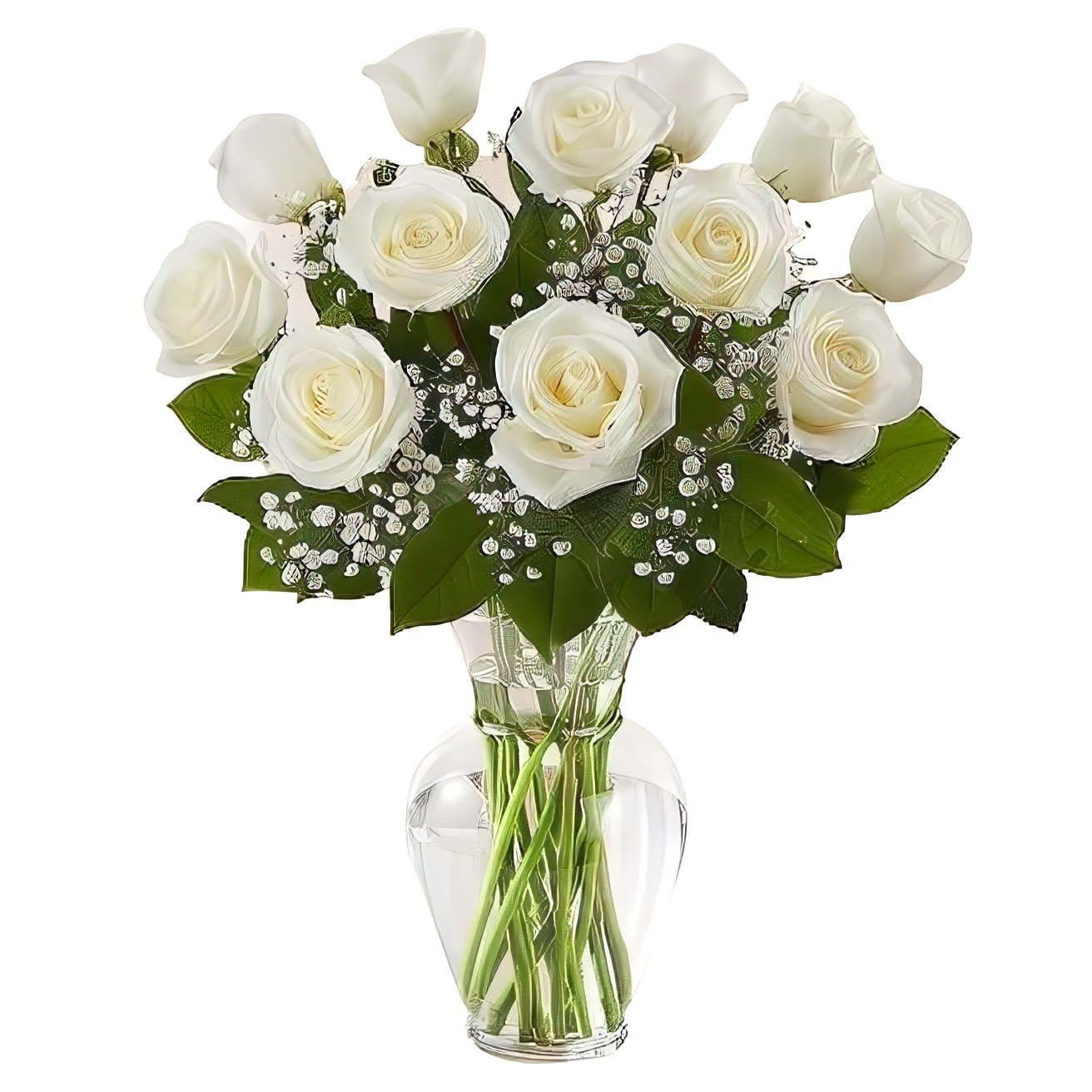 Premium Long Stem - Dozen White Roses - Floral Arrangement - Flower Delivery Brooklyn