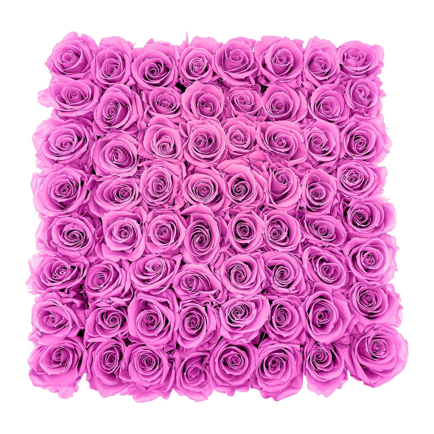 Preserved Roses Large Box | Hot Pink - Floral Arrangement - Flower Delivery Brooklyn