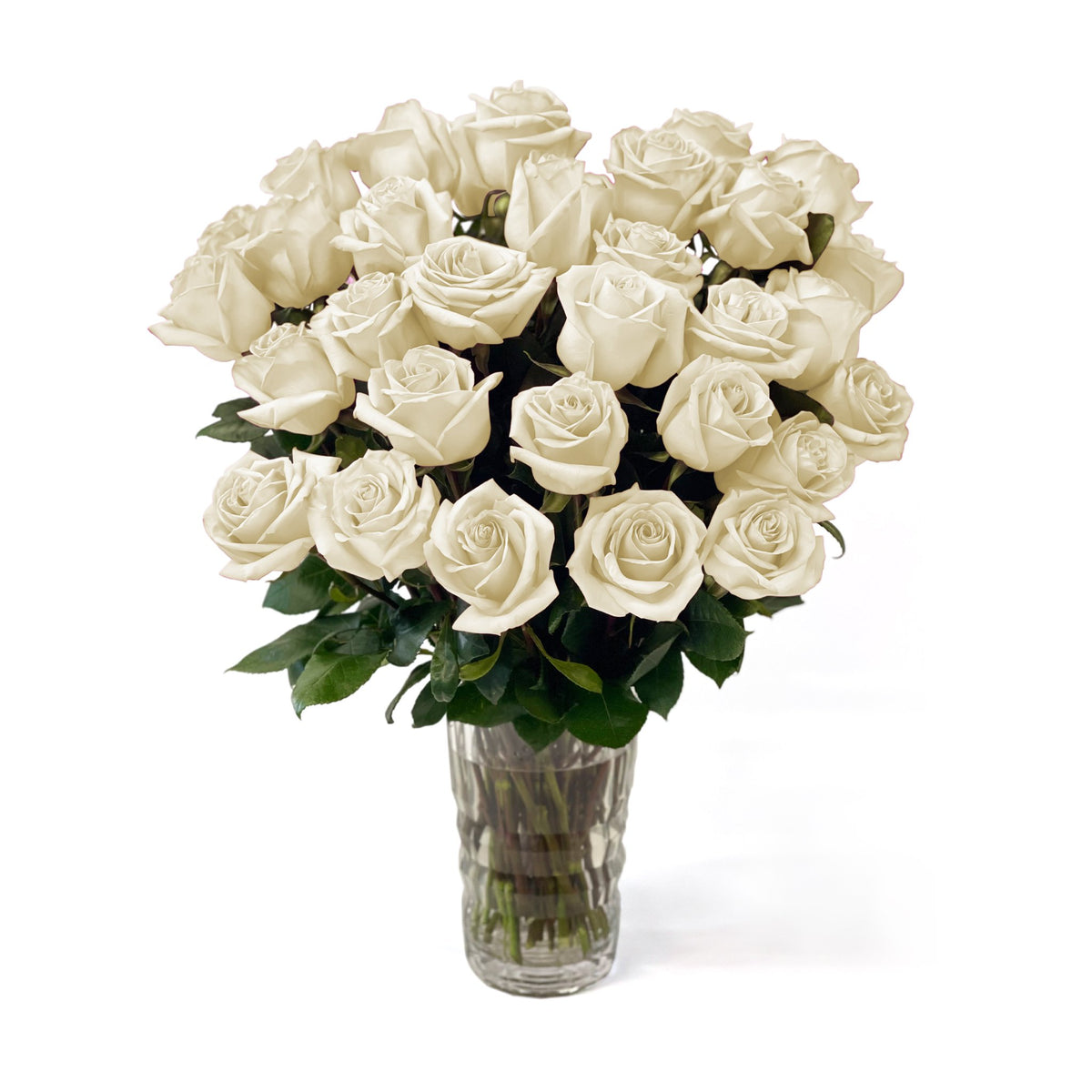 Fresh Roses in a Crystal Vase | White - Roses